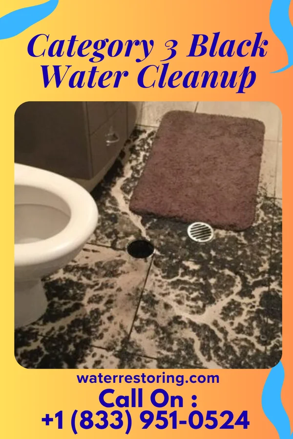 Category 3 Black Water Cleanup in Ellsworth, ME