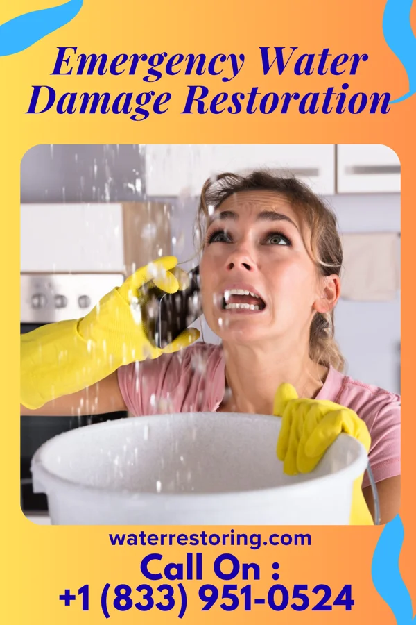 Emergency Water Damage Restoration in Ellsworth, ME