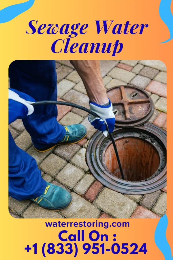 Sewage Water Cleanup in Ellsworth, ME